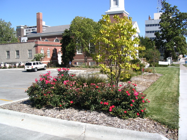 IMG_0084.JPG
