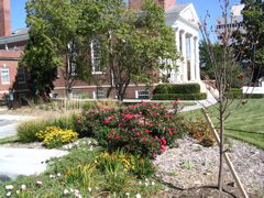 IMG_0083.JPG