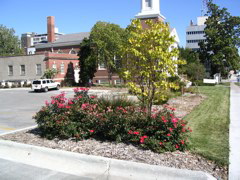 IMG_0084.JPG
