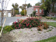 IMG_0094.JPG